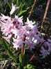 20150403_180050