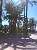 IMG_20150405_123309