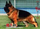 FB_IMG_1428394187873