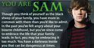 you are Sam