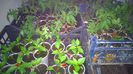 WP_20150407_002