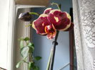 20150406_104446(0)
