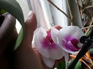 20150406_104522