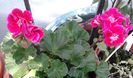 20150407_165710