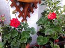 20150407_165701