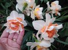 20150407_165810