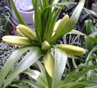 20150407_165916