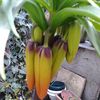 20150407_165938