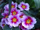 20150407_165633