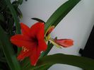 20150404_124319