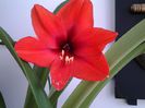 20150404_124237