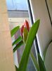 20150402_142715