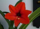 20150404_124257
