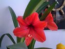 20150407_164934