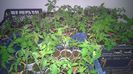 WP_20150407_001