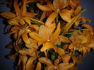 20150407_181655