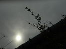 DSCN3241