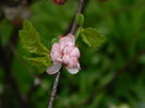 DSCN3248