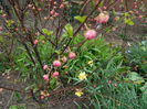 DSCN3251