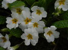 DSCN3258