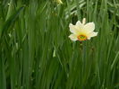 DSCN3264