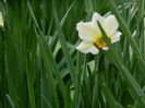 DSCN3265