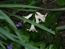 DSCN3268