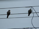 DSCN3283