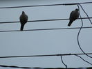 DSCN3284