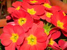 DSCN3290