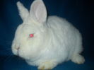 DSCN0962