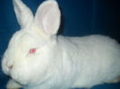DSCN0969