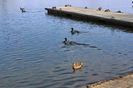 Quievrain_00041