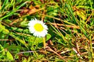 Quievrain_00061