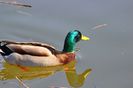 Quievrain_00064