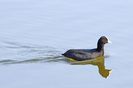 Quievrain_00065