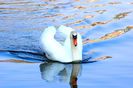 Quievrain_00072