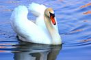 Quievrain_00073