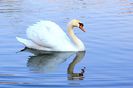 Quievrain_00074