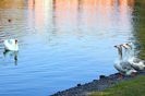 Quievrain_00075