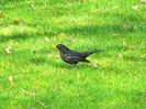 Quievrain_00089