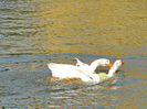 Quievrain_00100