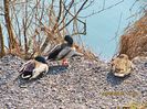 Quievrain_00103