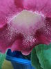 DSC09196