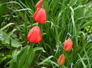 DSCN3462