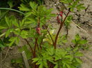 DSCN3475