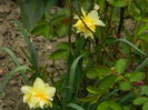 DSCN3481