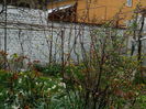 DSCN3482