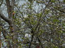 DSCN3504