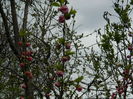 DSCN3505